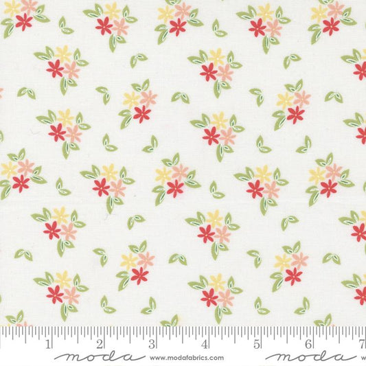 5 YARD CUT Emma Daisies Porcelain by Sherri and Chelsi for Moda 37632 11