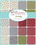 Blizzard Fat Quarter Bundle by Sweetwater for Moda