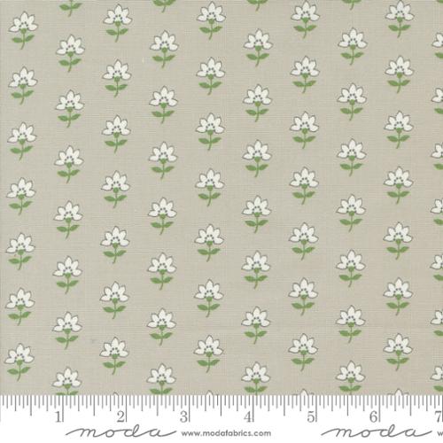 5 YARD CUT Shoreline Grey Single Floral by Camille Roskelley for Moda 55301 16