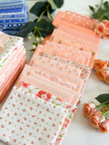 Jump on In Quilt Kit (Orange and White)- Pattern by Julia Davis Purchased Separately