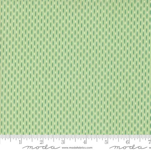 5 YARD CUT Raspberry Summer Beaded Mint by Sherri and Chelsi for Moda 37696 25