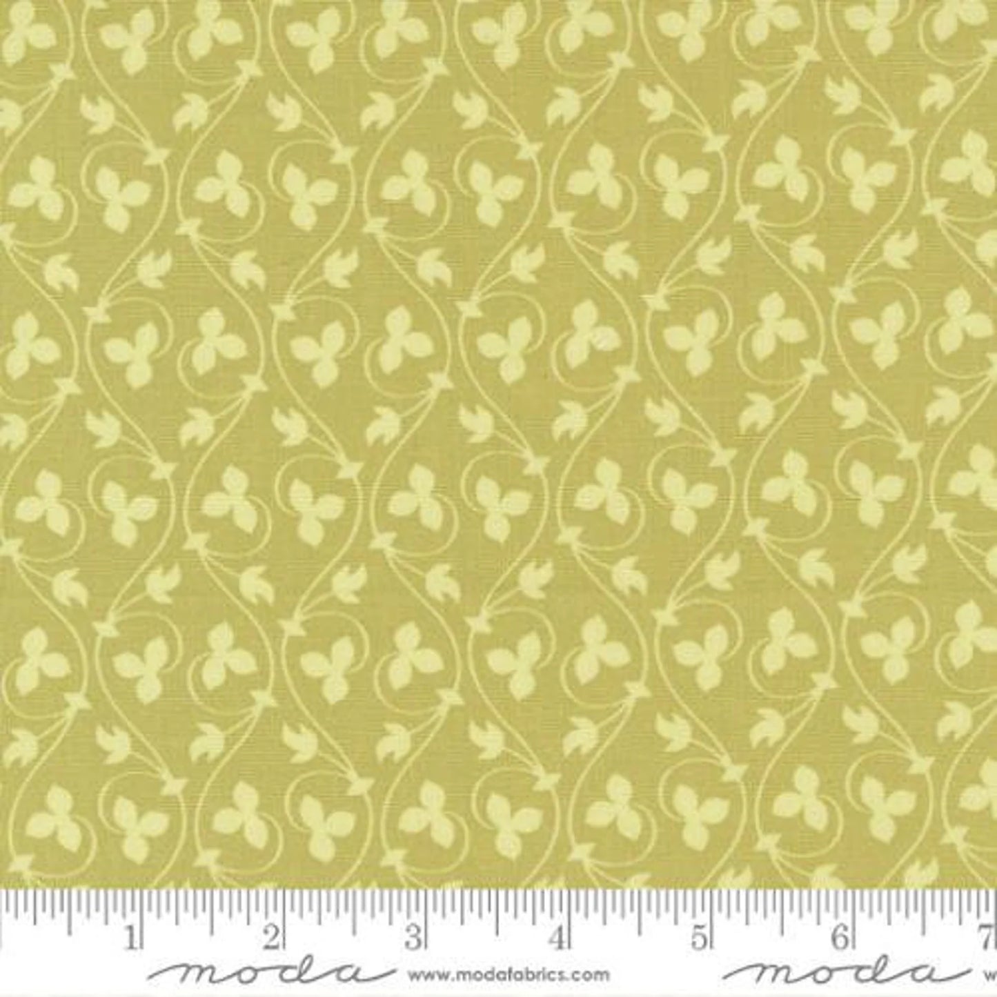 5 YARD CUT Cinnamon and Cream Acorn Vines by Fig Tree and Co for Moda 20455 16
