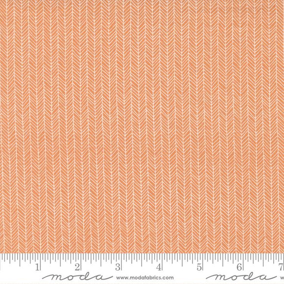 5 YARD CUT Late October Orange by Sweetwater for Moda 55595 22
