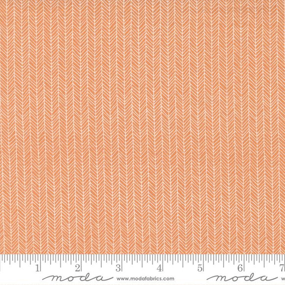 5 YARD CUT Late October Orange by Sweetwater for Moda 55595 22