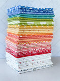 Scrappy Celebration Kit - pattern purchased directly from American Patchwork Website or Magazine